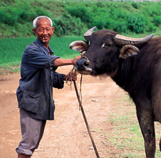 小型飼料顆粒機,農民圓夢！